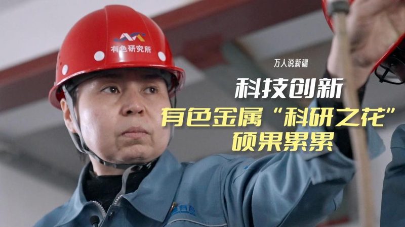 国产ERP软件：助力企业数字化转型的重要伙伴**